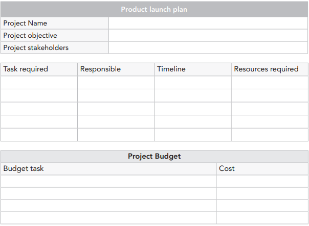 Using the template below, create a logical action plan to launch the ...